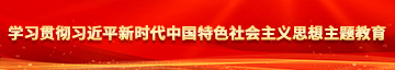 大鸡巴操女b啊啊啊视频学习贯彻习近平新时代中国特色社会主义思想主题教育